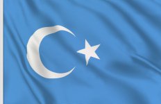 East-Turkestan-Republic-Flag.jpg