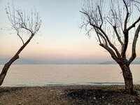 IMG20201216175108.jpg