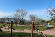 IMG_2963.JPG