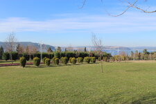 IMG_2965.JPG
