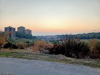 20201206174932.jpg