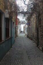 IMG_3556.JPG