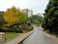 20201119153749.jpg