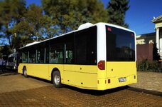 IMG_6997.jpeg