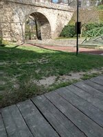 IMG_20250314_163714_872.jpg