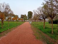 20201216180406.jpg