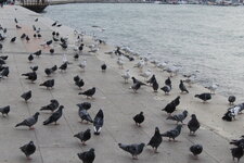 IMG_3123.JPG
