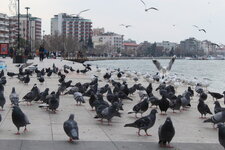 IMG_3126.JPG