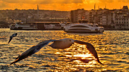 Istanbul_2019 (1279)2.jpg