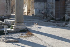 IMG_5948.JPG