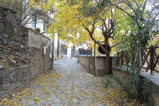 IMG_6241.JPG