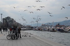 IMG_3166.JPG