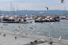 IMG_3172.JPG
