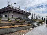 IMG_3037-min.jpg