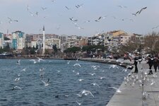 IMG_3181-min.JPG