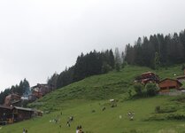 IMG_0059.JPG