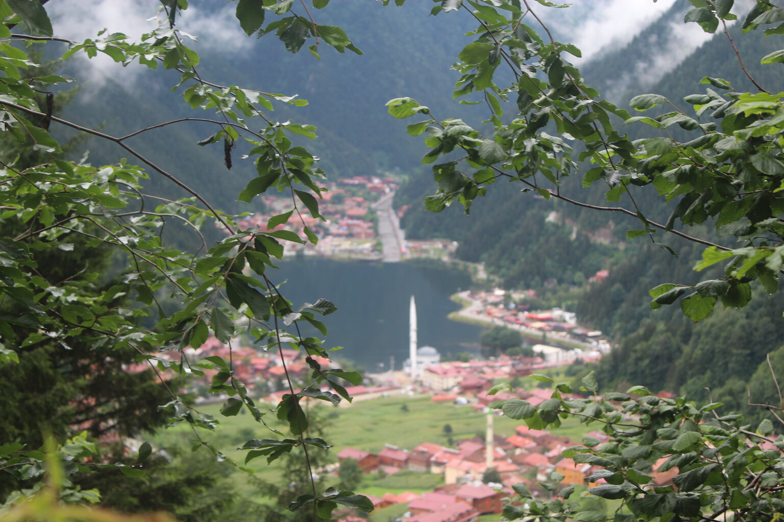 IMG_9664.JPG