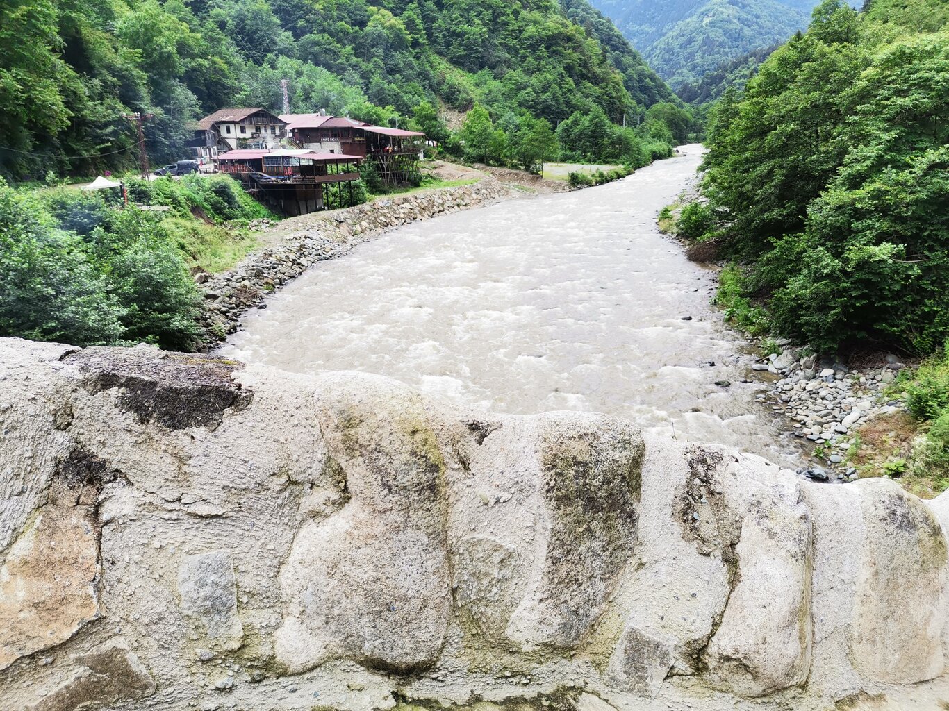 IMG_20210715_105949.jpg