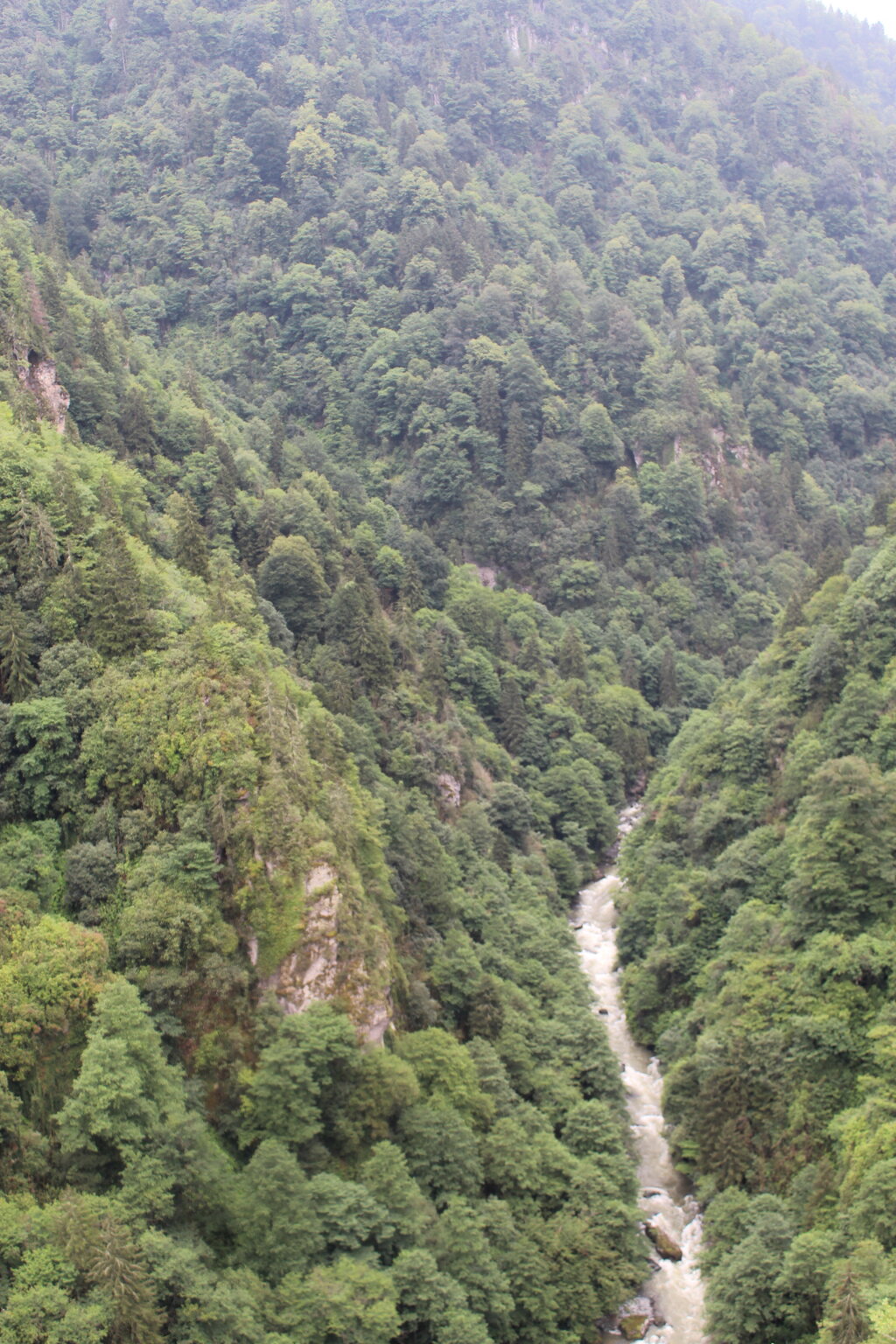 IMG_0002.JPG