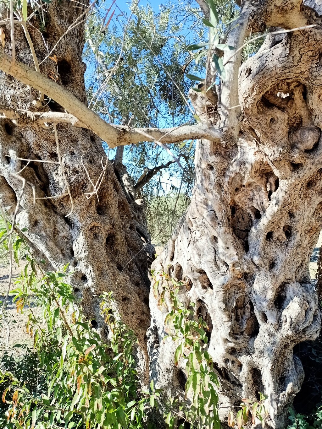 20201101143510.jpg