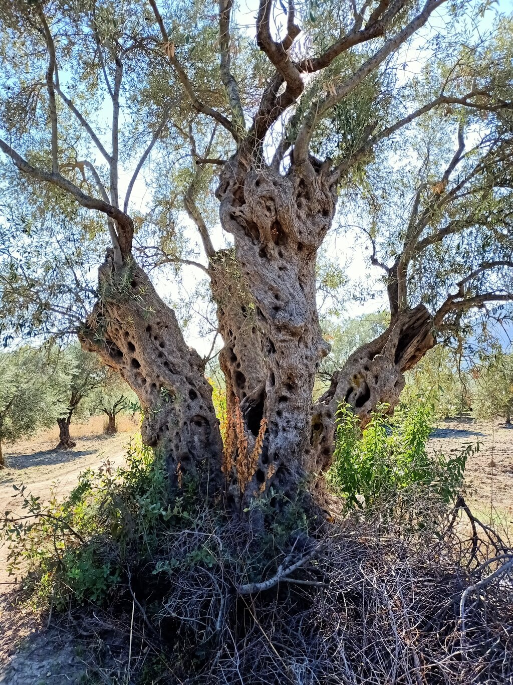20201101143534.jpg