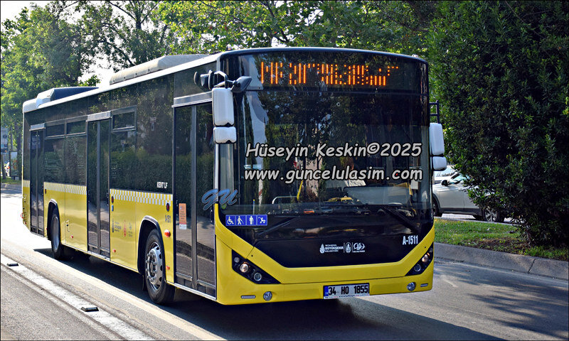 54603066225_de9cdee946_c.jpg