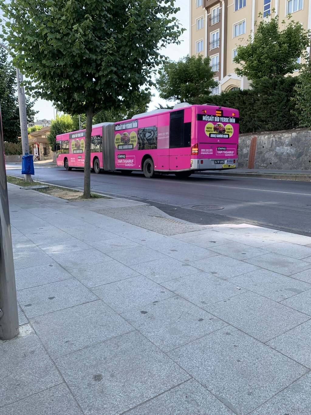 IMG_3529.jpeg