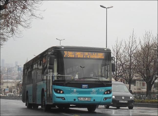 1000092989.jpg