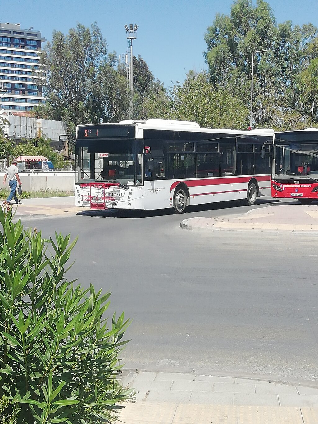 IMG_20250630_113006.jpg