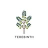 Terebinth