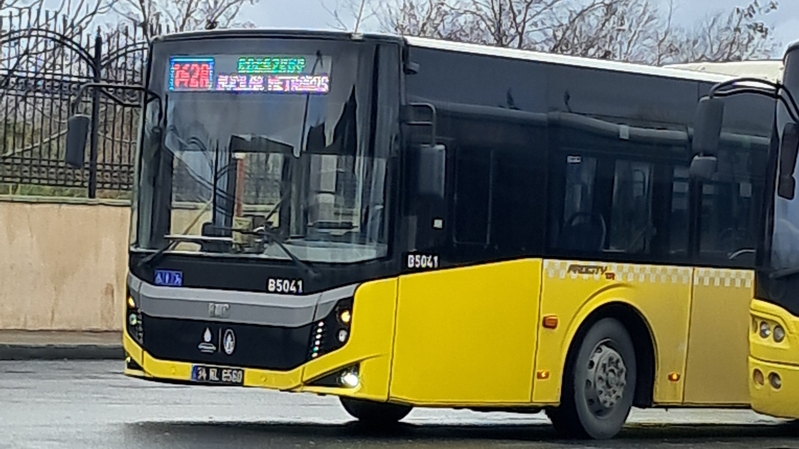1000005239.jpg