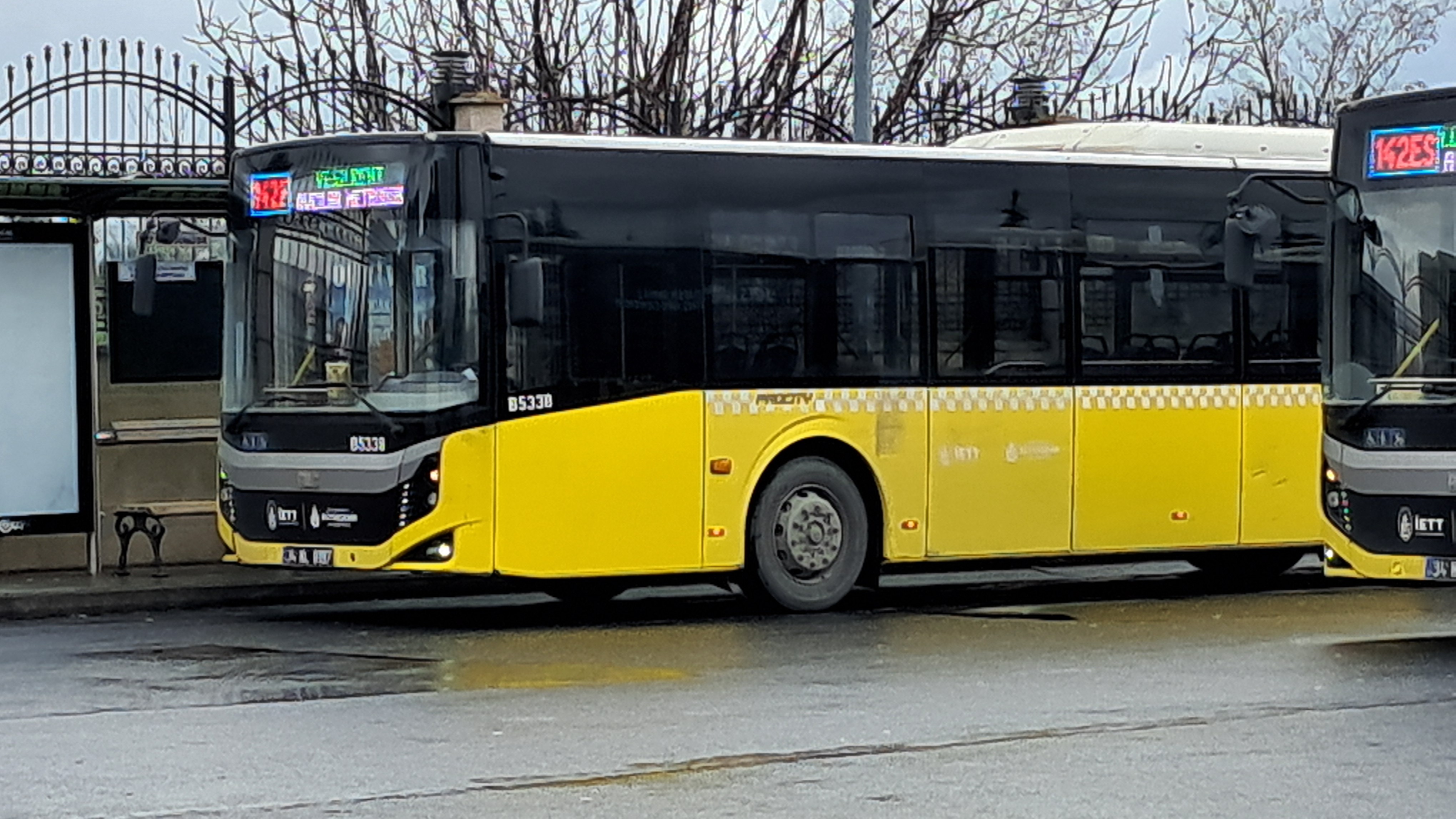 1000005241.jpg