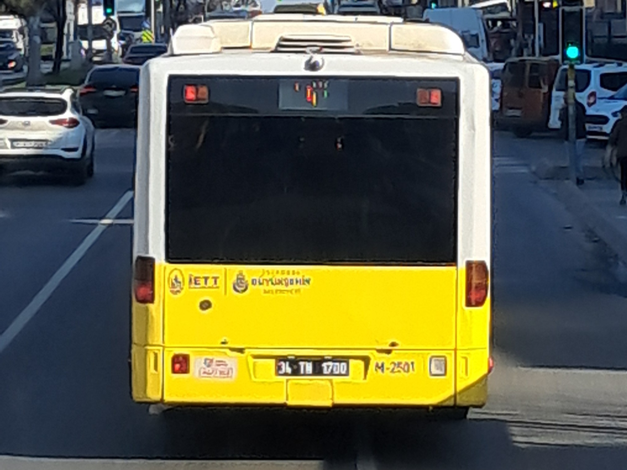 1000012810.jpg