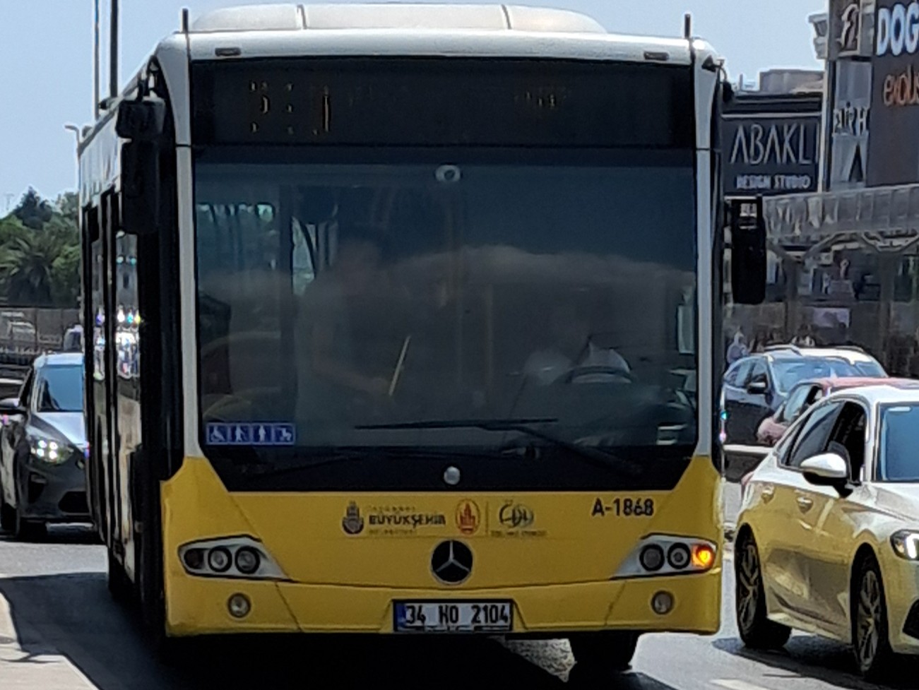 1000023009.jpg