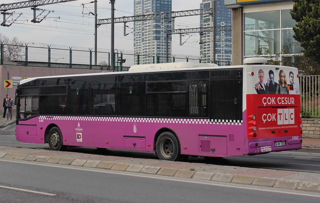 1000024444.jpg