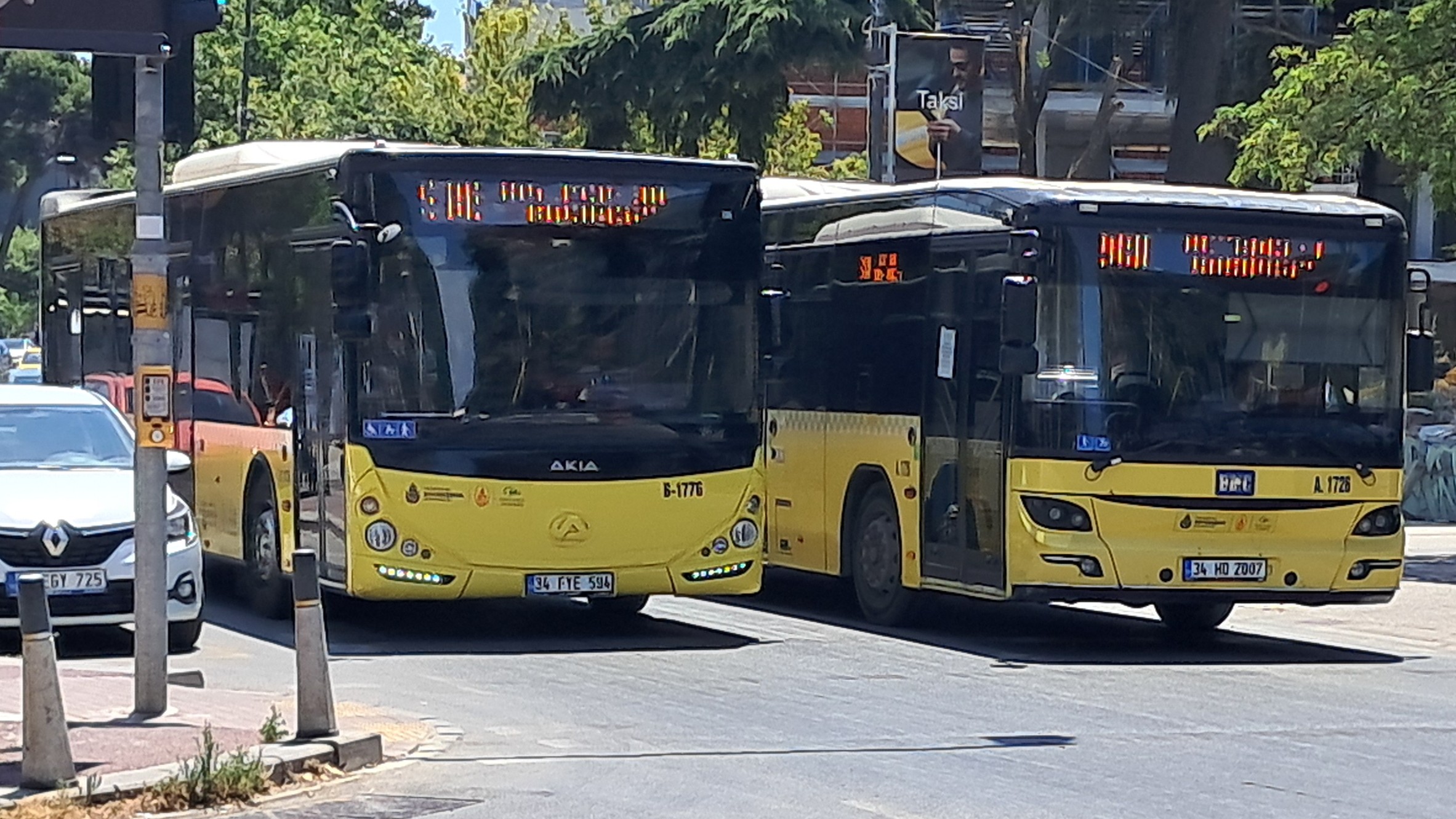 1000025421.jpg