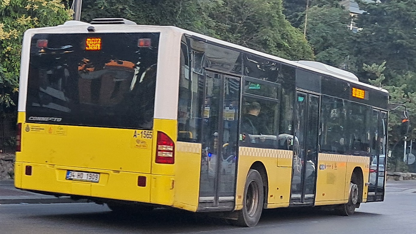 1000025429.jpg