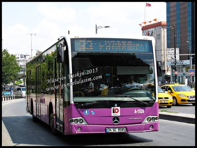 1000094594.jpg