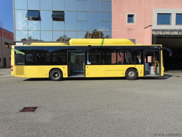 12654671-08.jpg