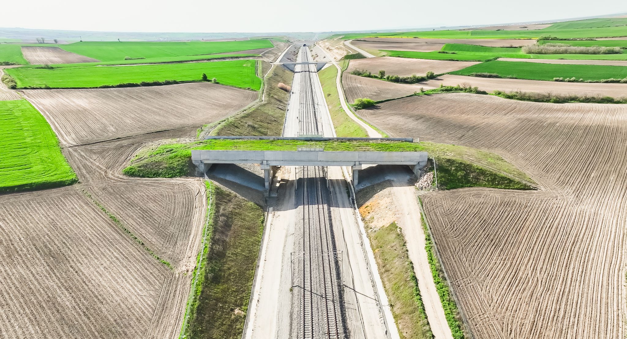 1750233905726.jpg