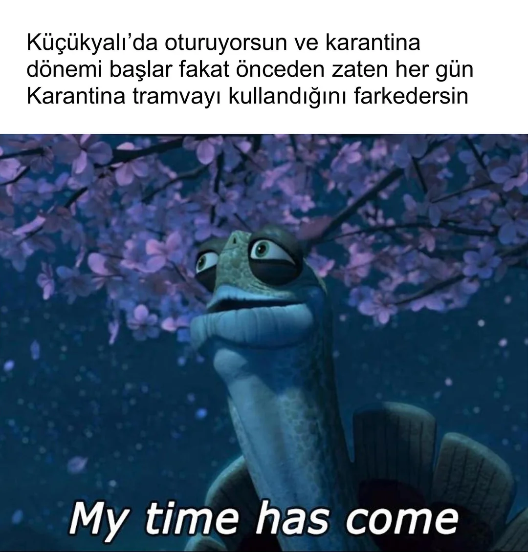 1751424756529.png