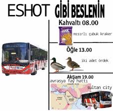 1752558768067.jpeg