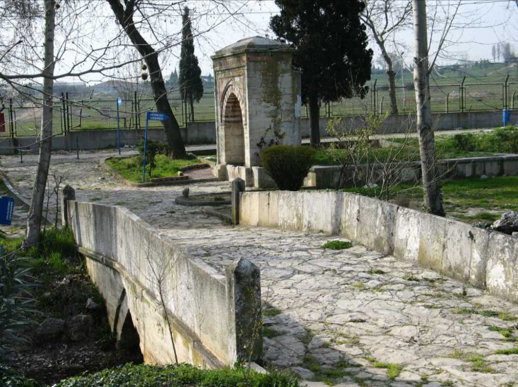 görüntü