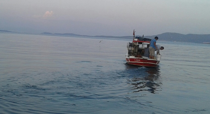 20160628_201943-1-1.jpg