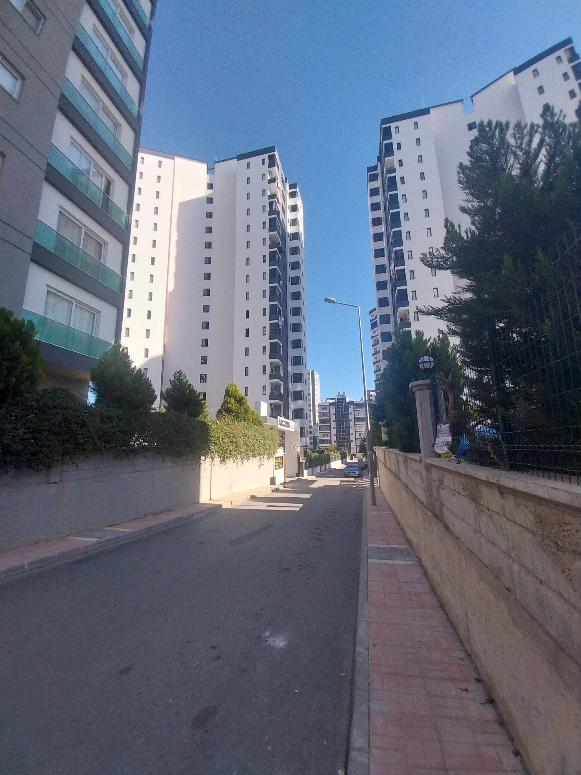 20241022_142619.jpg