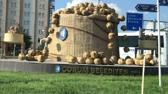 20241029_225030.jpg