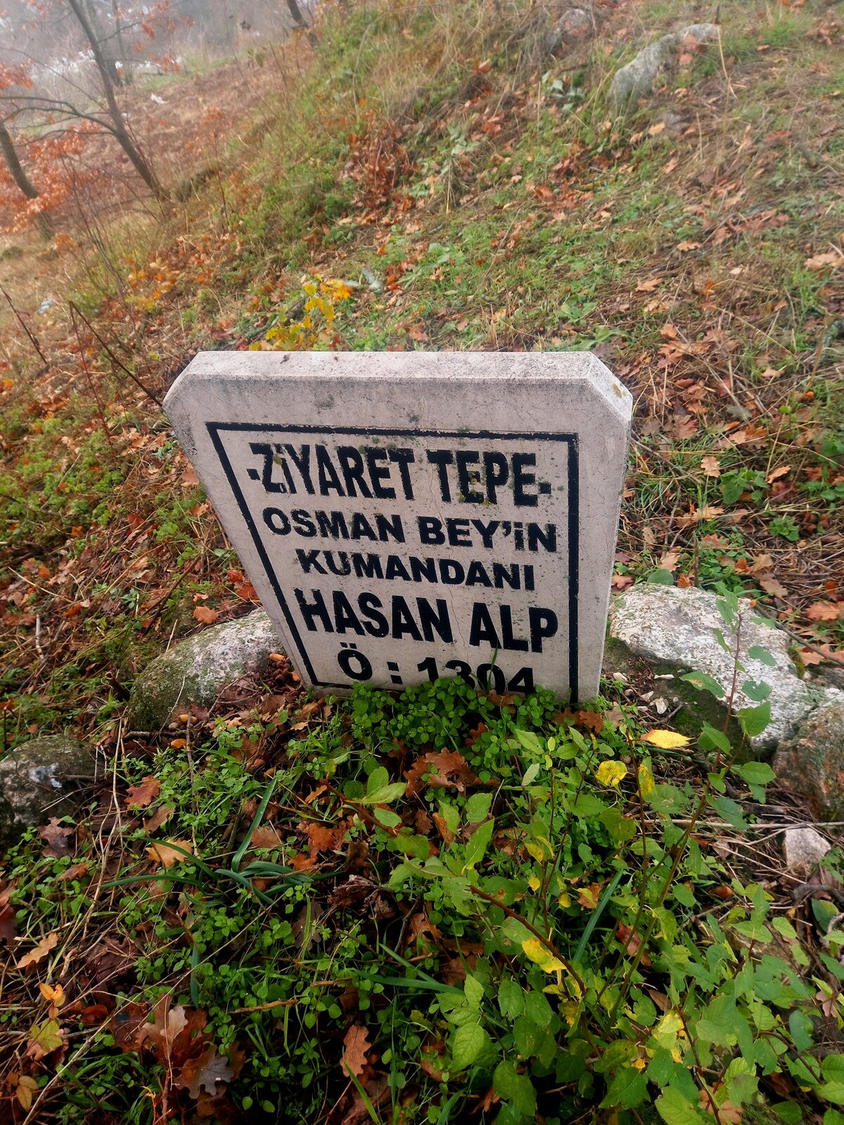 20241128_144842.jpg