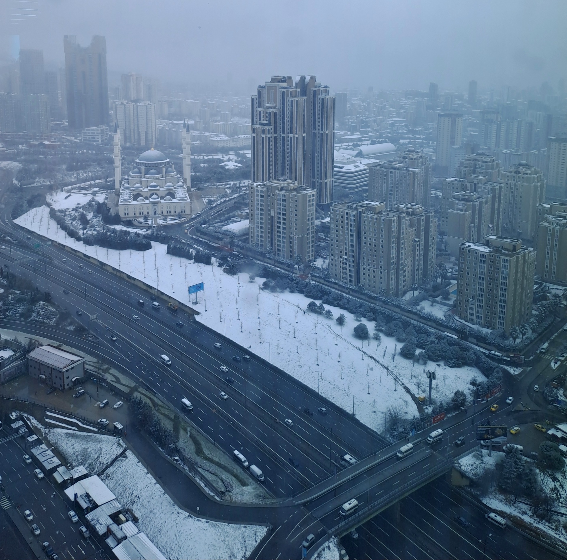 20250221_164528.jpg