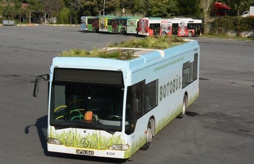 510.jpg