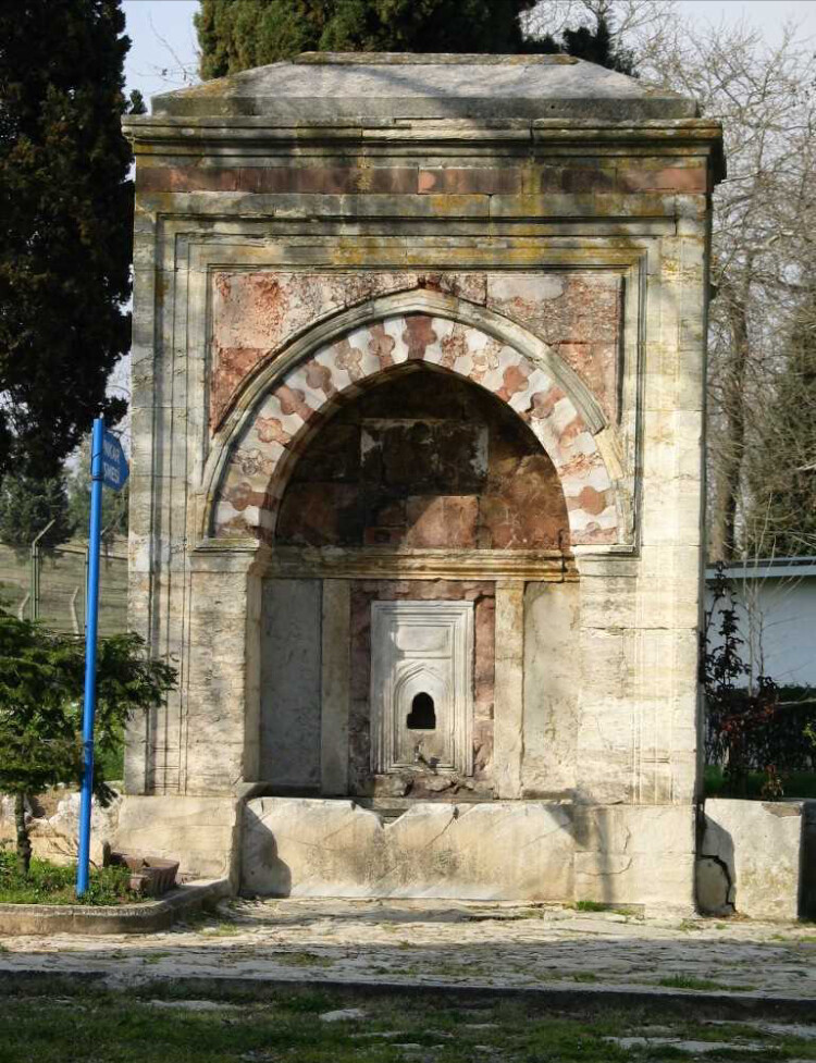 görüntü